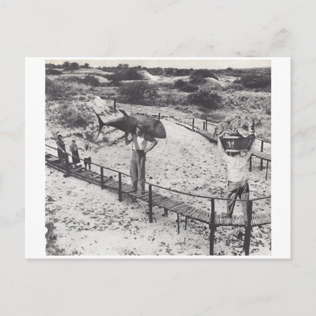 Storfisk - inbjudan vykort (Framsida)