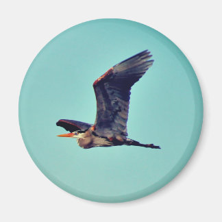 Storhäger Magnet