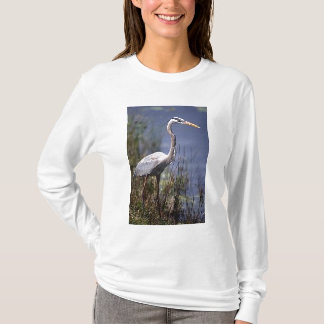 Storhäger vattenfågel tee (Framsida)