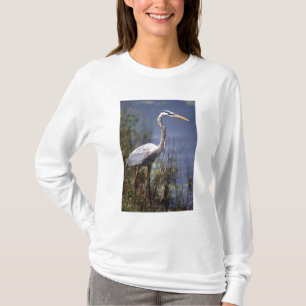 Storhäger vattenfågel tee shirt