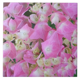 Storhbladig Hortensia Kakelplatta