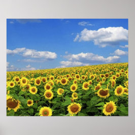 _Storhet_av_Natur_(5) Poster