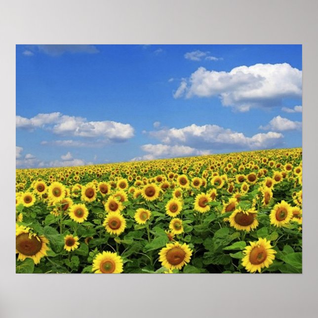 _Storhet_av_Natur_(5) Poster (Framsidan)