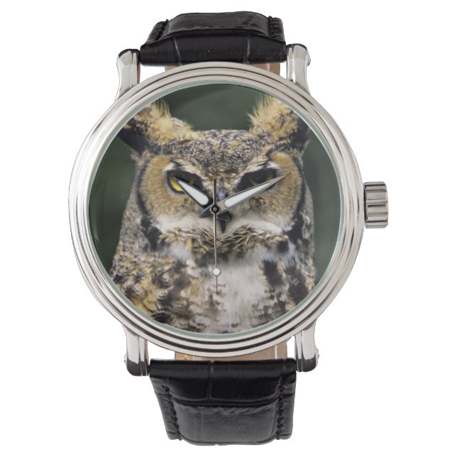 Storhök (Bubo virginianus), hel kropp Armbandsur (Framsida)