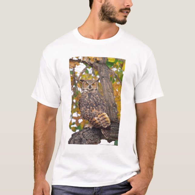 Storhökörn T-shirt (Framsida)
