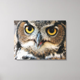 Storhornad uggla (Bubo virginianus) Canvastryck