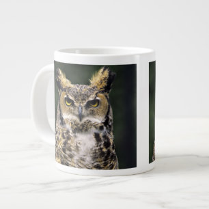 Storhornad uggla (Bubo virginianus), hel kropp Jumbo Mugg