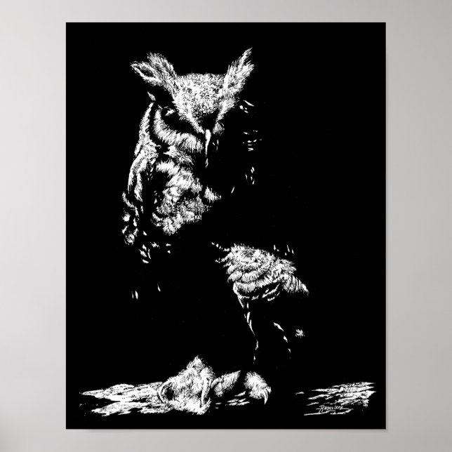 Storhörnad uggla poster (Framsidan)