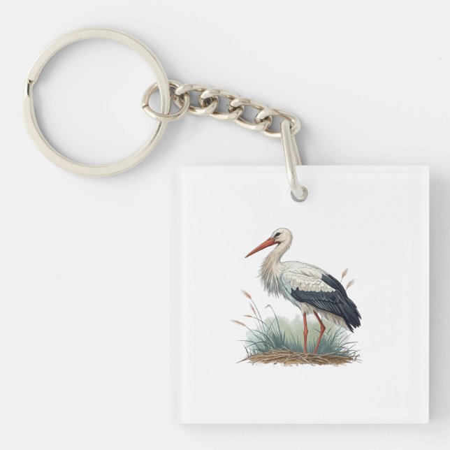 Stork (Framsidan)