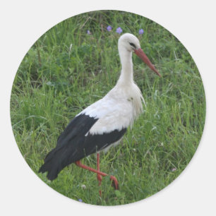 Stork 1 runt klistermärke