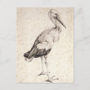 Stork av Albrecht Durer Vykort