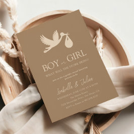 Stork Baby Delivery Boy eller Girl Gender Reveal Inbjudningar