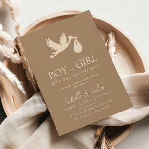 Stork Baby Delivery Boy eller Girl Gender Reveal Inbjudningar