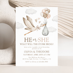 Stork Baby Delivery eller Gender Reveal Party Inbjudningar