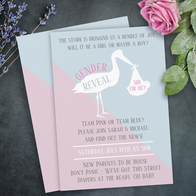 Stork Baby Rosa- eller Blue Gender Reveal-inbjudan (A stork Gender Reveal Invitation. If you want a version with a digital download - get in touch)