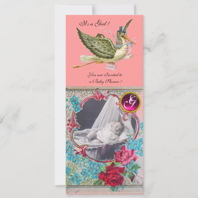 STORK BABY SHOWER MONOGRAM FOTO MALL (Framsida)