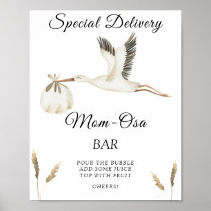 Stork babydusch - Momosa pub Poster