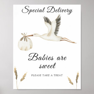 Stork babydusch - spädbarn är söt poster