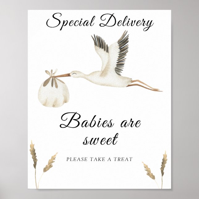Stork babydusch - spädbarn är söt poster (Framsidan)