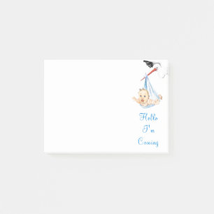 Stork Carshing Baby Funny Sticky Notes Post-it Block