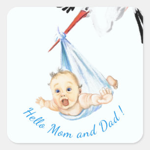 Stork Carshing Baby Sticker Funny - Anpassningsbar Fyrkantigt Klistermärke