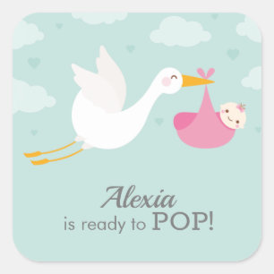 Stork Clouds Girl Bundle Baby Shower Fyrkantigt Klistermärke