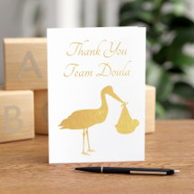 Stork Delivery Nurse Midfru Team Doula Tack