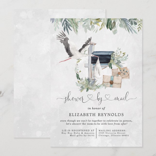 Stork Delivery | Virtuell babyvy efter post Inbjudningar (Fram/baksida)