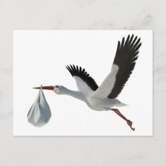 Stork Deliving Bundle Vykort