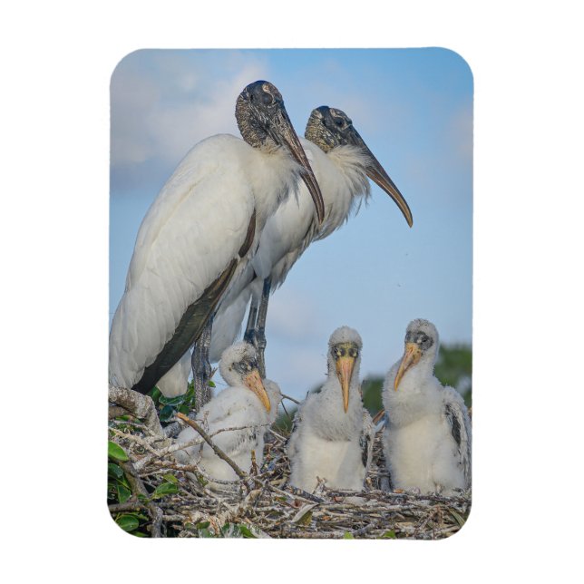 Stork Family Magnet (Vertikal)