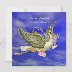 STORK FLICKA SHOWER INBJUDNINGAR