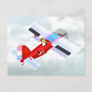 Stork Flygplan vycard Vykort