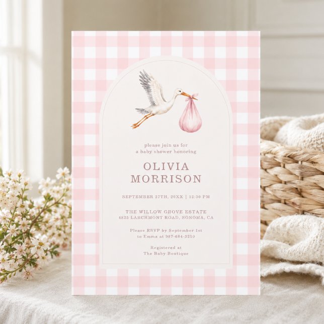 Stork Gingham Rosa Flickor Barnkalas Inbjudningar (Skapare uppladdad)