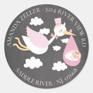 Stork Girls Baby Shower Return-adressetikett Runt Klistermärke