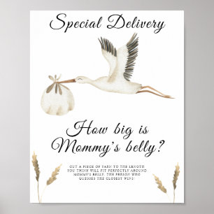 Stork - hur stort är mamma Blocky-spelet? Poster