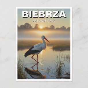 Stork i Biebrza nationalpark Polen Travel Vykort