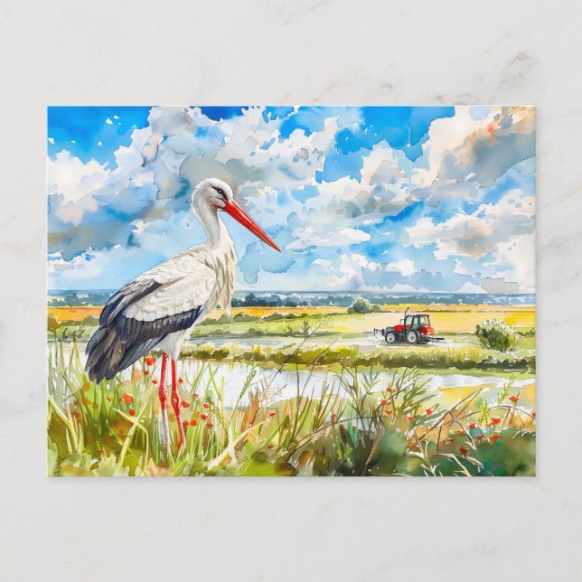 Stork i sommarfält Havelland akvarellstil Vykort (Framsida)