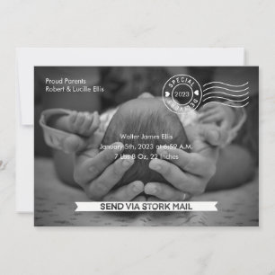 Stork Mail Birth Notice Meddelande