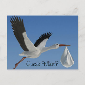 Stork med Baby Bundle Vykort