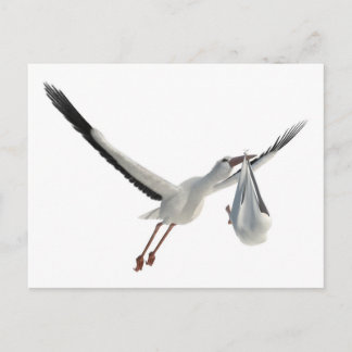 Stork med Bundle på White Vykort
