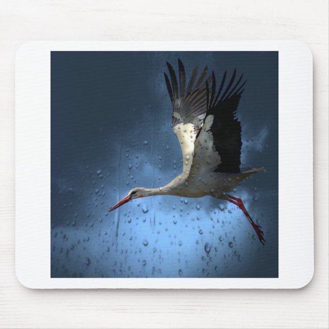 Stork Musmatta (Framsidan)
