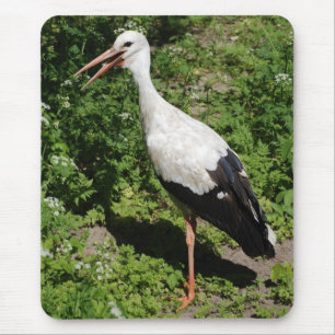 stork musmatta