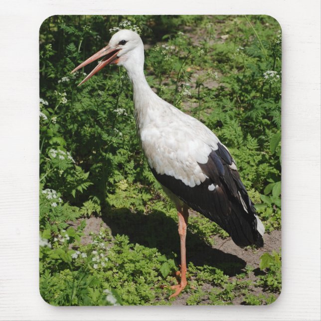 stork musmatta (Framsidan)