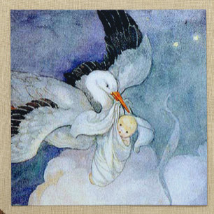 Stork och Baby Anpassade Inbjudningar