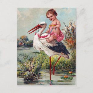 Stork och Baby från 1909 Vykort