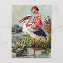 Stork och Baby från 1909 Vykort