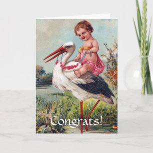 Stork och Baby, Gratulerar. Kort