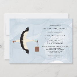 Stork + paket Baby Shower med post inbjudan