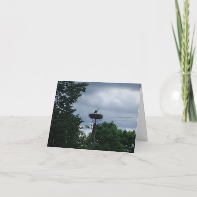 Stork Photo Baby Gravid annons Card Kort (Framsida)