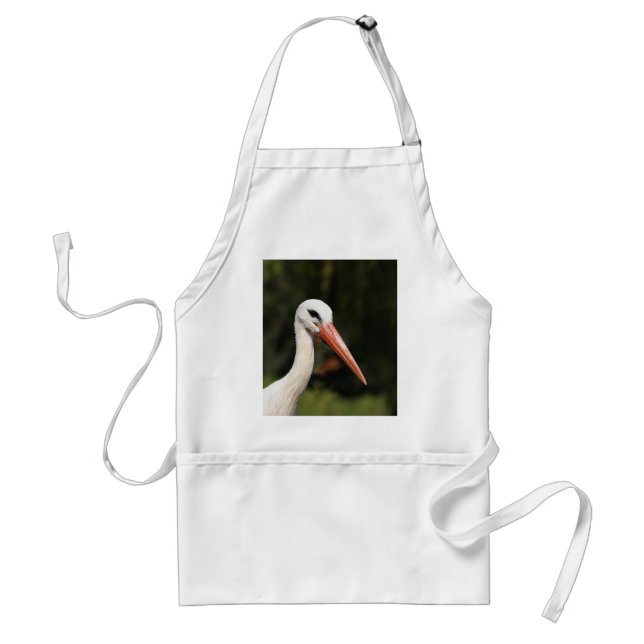 Stork - symbol för Strasbourg och Alsace, Frankrik Förkläde (Framsidan)